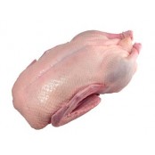 DUCK WHOLE 1.8 TO 1.9Kg